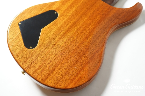 Modern Eagle II 25th Anniversary - Amber【SMO2026】